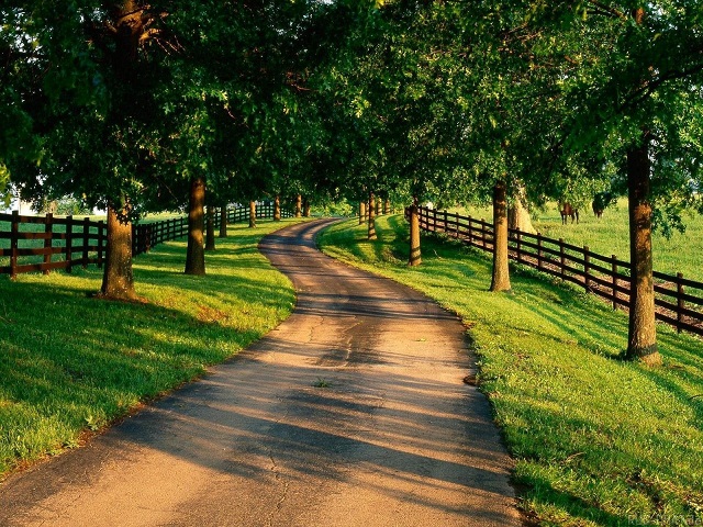 CC在线压力测试